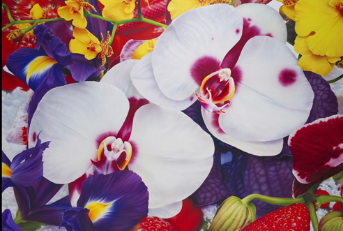 Image no. 63: Amber Gardens, 2010 (Marc Quinn), code=S, ord=10000, date=-