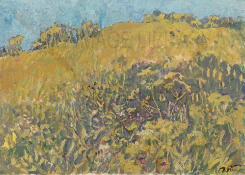 Image no. 3517: Hill Covered with Flowers (Sergei Tkachev), code=S, ord=0, date=1984