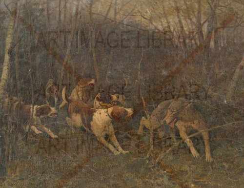 Image no. 3586: Dogs and Wolf (Evgeny Tikhmenev), code=S, ord=0, date=-