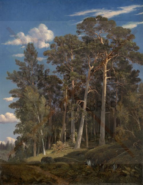 Image no. 3590: Pine Forest (Ivan Shishkin), code=S, ord=0, date=1866