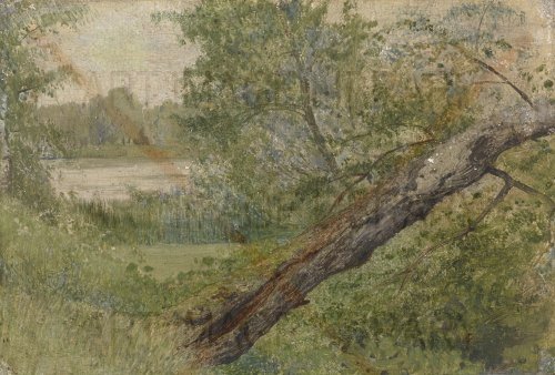 Image no. 3618: Tree by the Lake (Isaac Levitan), code=S, ord=0, date=late 19th century