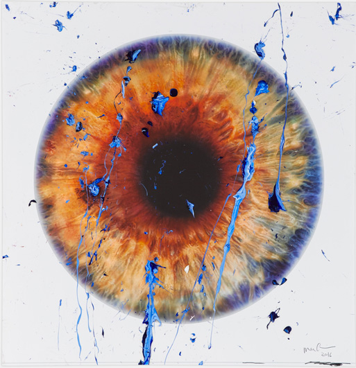 Image no. 117: Untitled (The Eye of History) (Marc Quinn), code=S, ord=340, date=2016