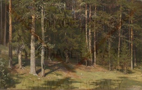 Image no. 3935: Forest Clearing (Ivan Shishkin), code=S, ord=0, date=1878