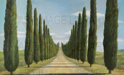 Image no. 4110: A Way to Heaven, the Appia... (Olga Tobreluts), code=S, ord=0, date=late 20th century