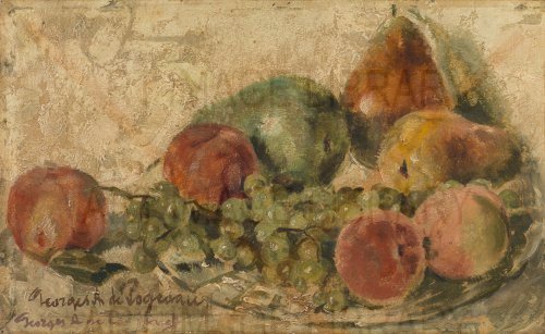 Image no. 4154: <i>A ipsum</i> (Georges Pogedaieff), code=S, ord=0, date=mid 20th century