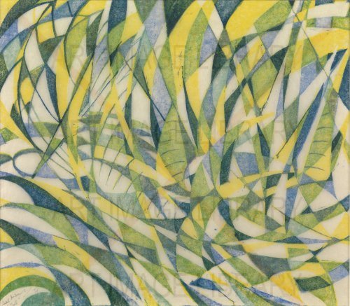 Image no. 3402: <i>Viverra massa</i> (Sybil Andrews), code=S, ord=0, date=mid 20th century